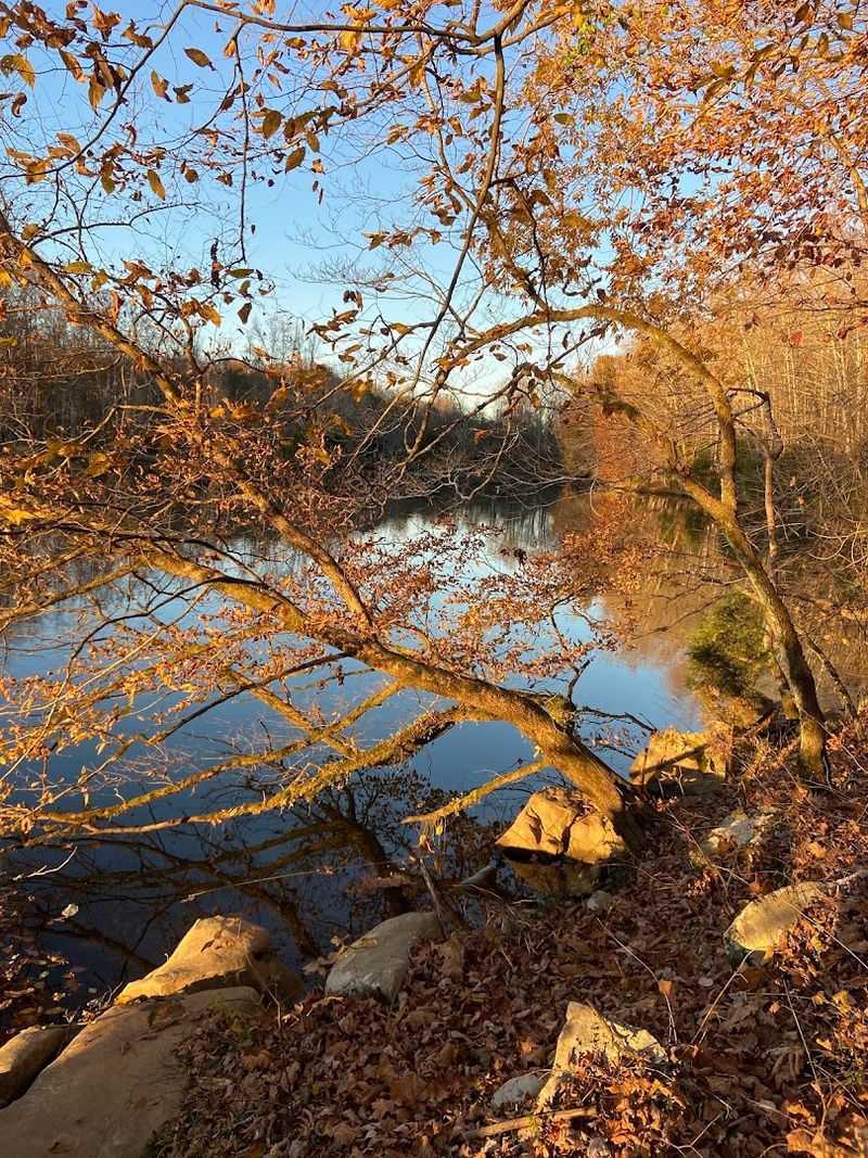 The Scenery Changes With Every Season