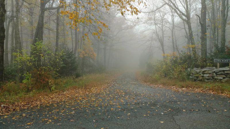 The Seven-Person Township Hidden in Sussex County