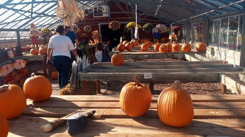The Sewell Farm Market That Has Stayed in the Zimmerman Family Since 1911