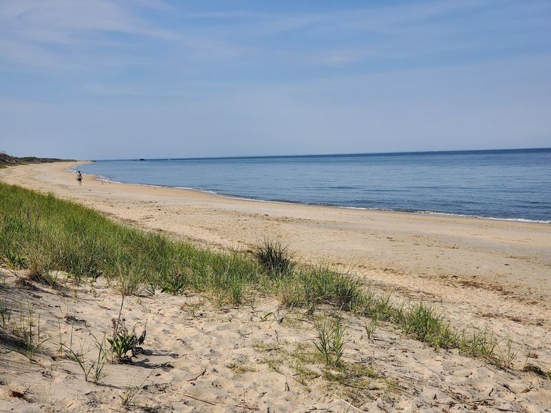 The Shoreline Feels Nothing Like a Typical New Jersey Beach