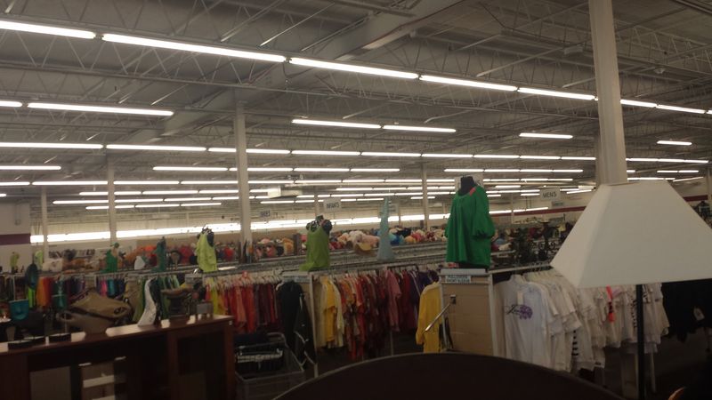 The Store's Layout and How to Actually Navigate It