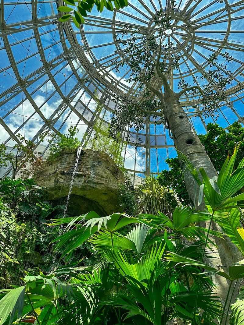 The Stunning 50-Foot Waterfall That Anchors Everything The Stunning 50-Foot Waterfall That Anchors Everything