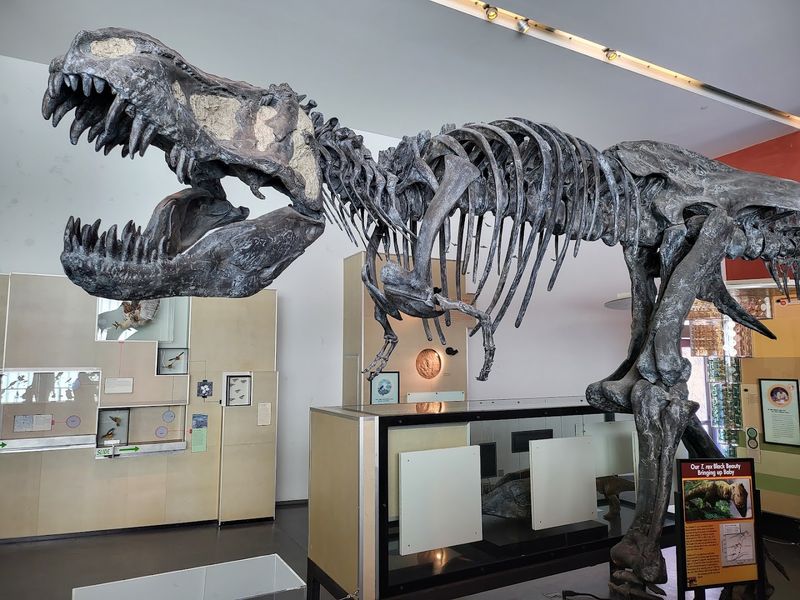 The T. Rex That Stops You Cold The T. Rex That Stops You Cold