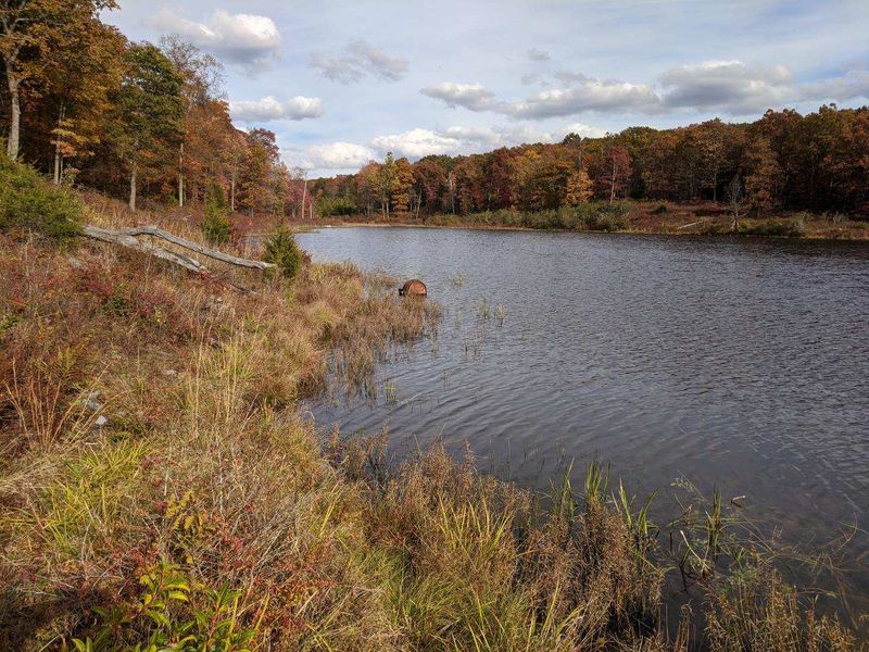 The Tocks Island Dam Plan Put the Community on Borrowed Time