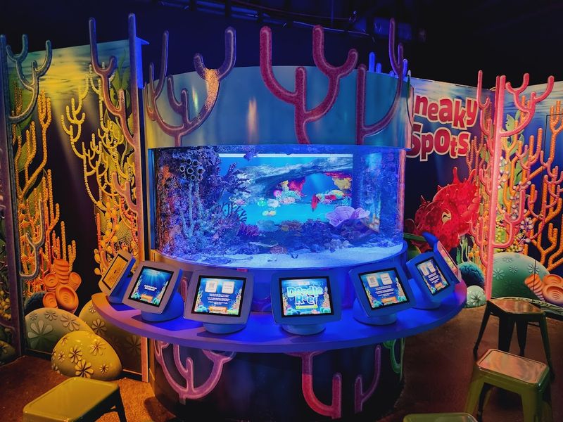 The Touch Pool Experience Kids Cannot Stop Talking About The Touch Pool Experience Kids Cannot Stop Talking About