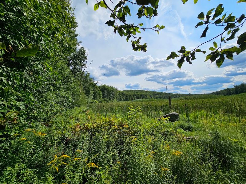 The Tourne - Boonton Township and Denville The Tourne - Boonton Township and Denville