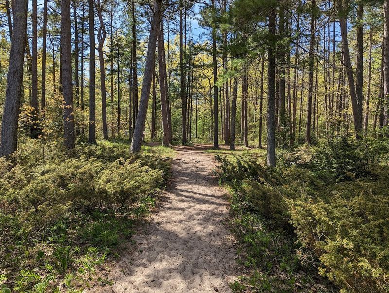 The Trail Itself: A One-Mile Loop Anyone Can Handle