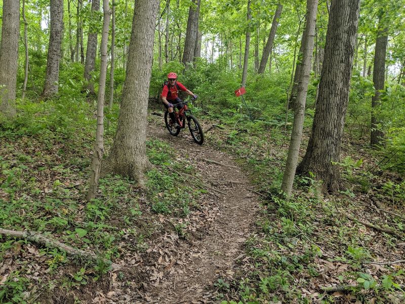 The Trail Network Keeps Every Visit Interesting