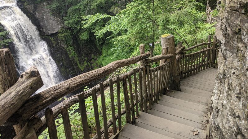 The Trail System and What the Colored Loops Mean The Trail System and What the Colored Loops Mean
