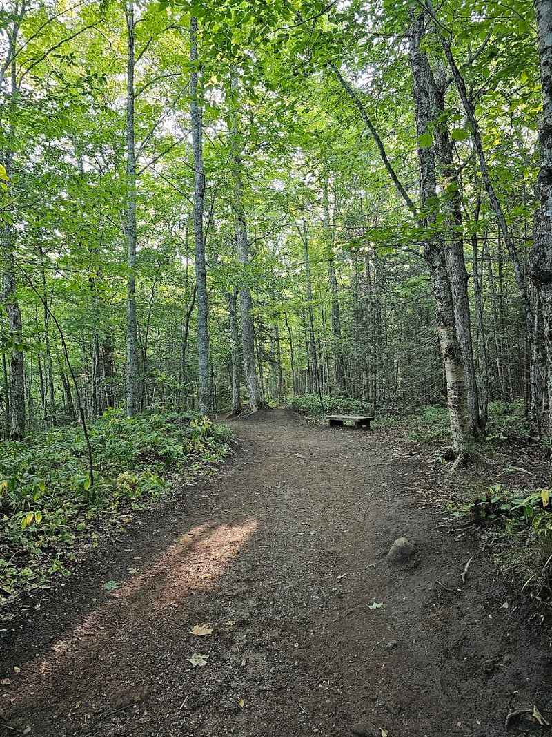 The Trail That Almost Anyone Can Handle The Trail That Almost Anyone Can Handle