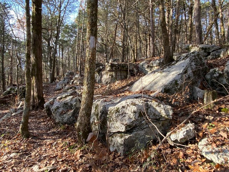 The Trail Winds Through Peaceful Forest And Rocky Terrain