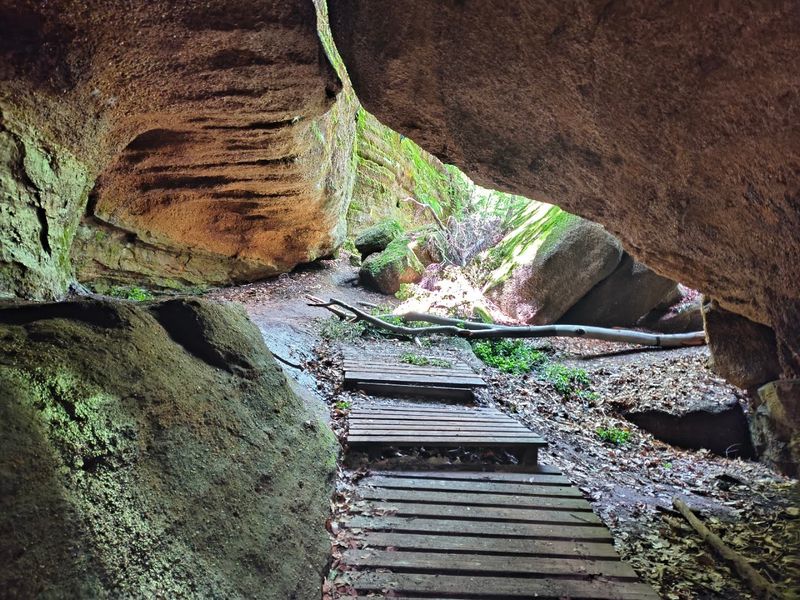 The Trails Add a Completely Different Side of the Park