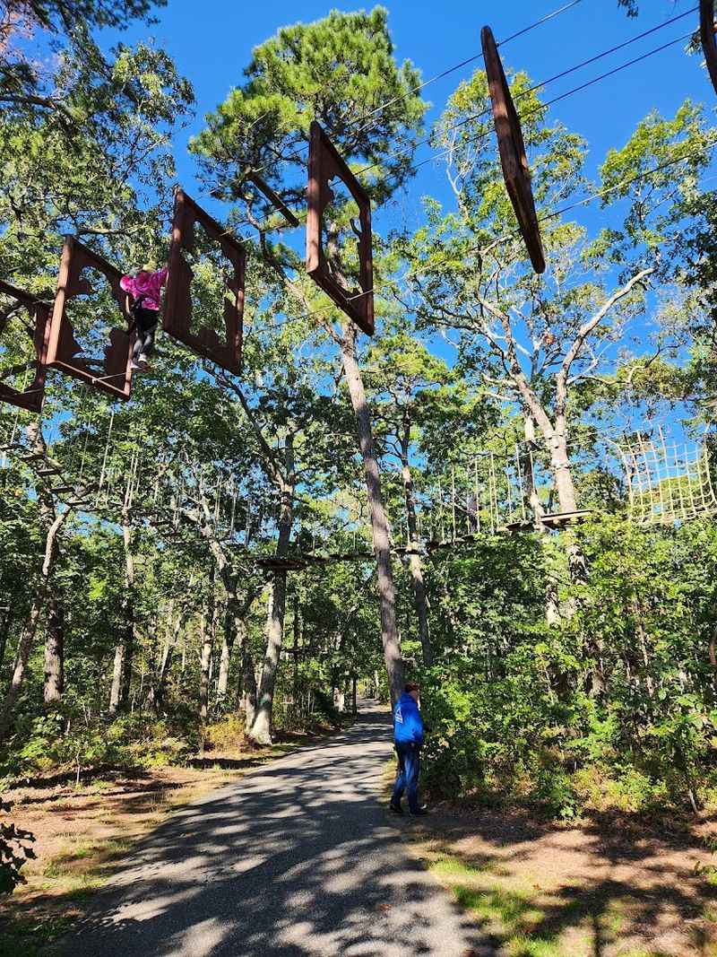 The Treetop Adventure Hiding Beside the Cape May County Zoo The Treetop Adventure Hiding Beside the Cape May County Zoo