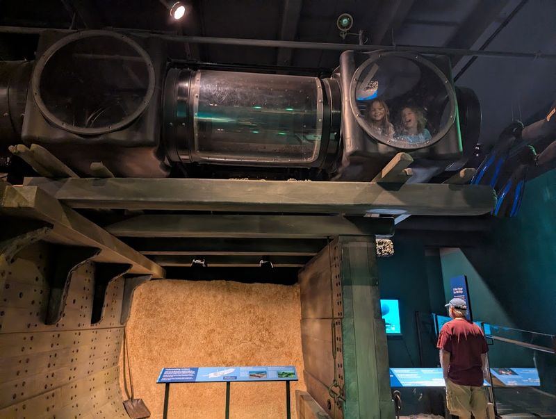 The Tunnel, the Touchscreens, and the Kids Who Never Got Bored The Tunnel, the Touchscreens, and the Kids Who Never Got Bored