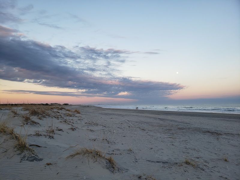 The Undeveloped Beach Feels Peaceful Before the Crowds Arrive The Undeveloped Beach Feels Peaceful Before the Crowds Arrive