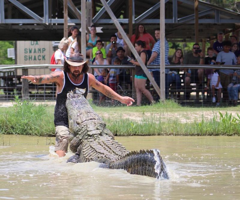 The Wading Pool Experience Gets You Closest The Wading Pool Experience Gets You Closest
