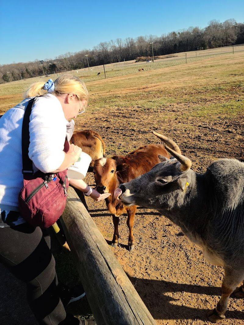 The Wagon Ride Offers a Different Kind of Safari
