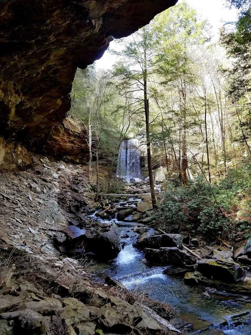 The Waterfall Has That Hidden-in-the-Woods Feeling The Waterfall Has That Hidden-in-the-Woods Feeling