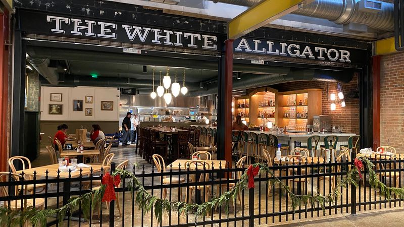 The White Alligator — Franklin