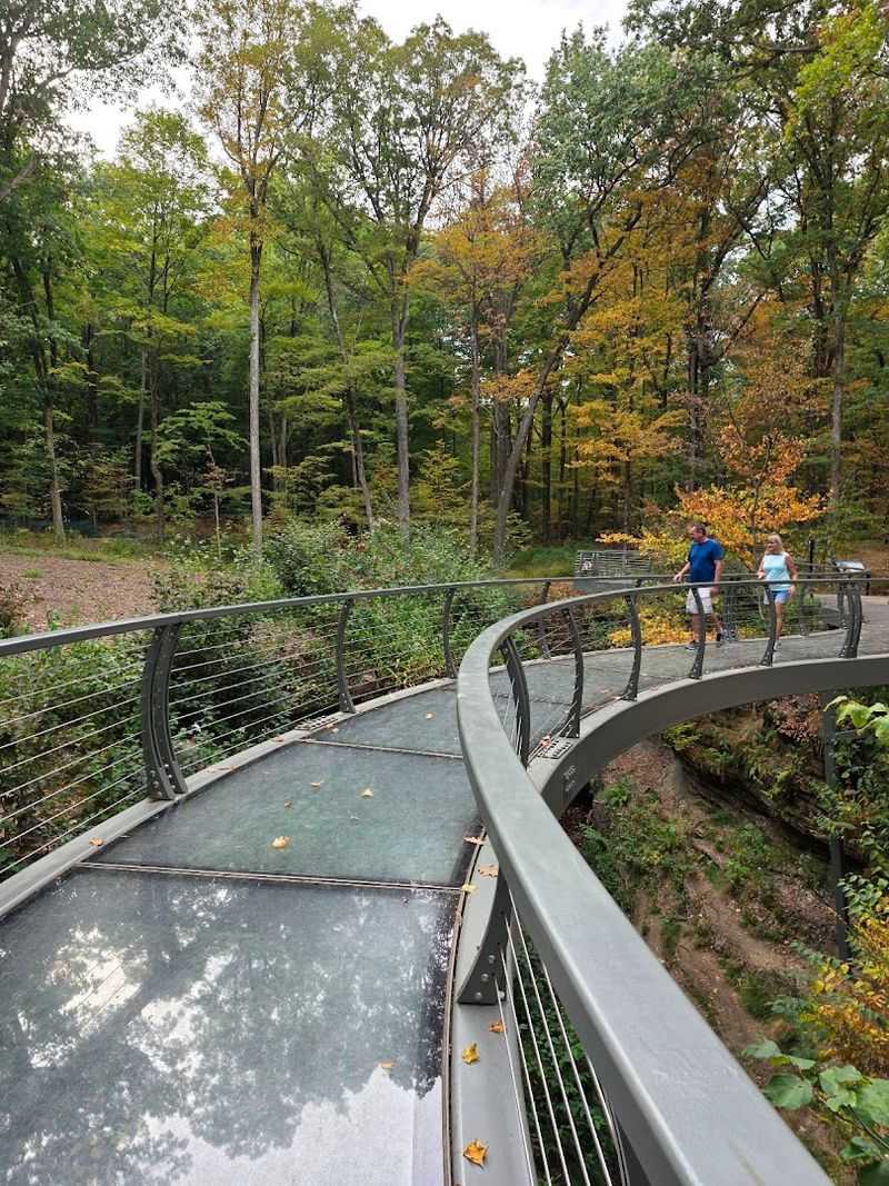 The White Trail And The Falls Edge Glass Walkway