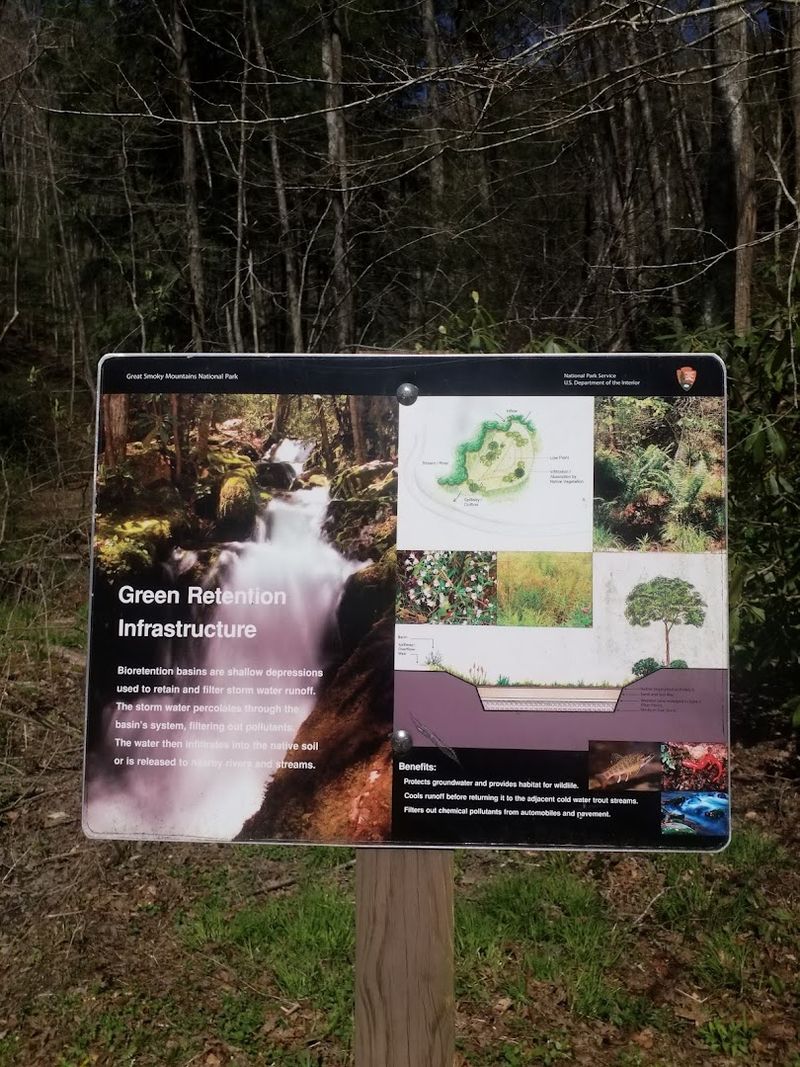 The Wild Logging-Era Accident Behind the Waterfall