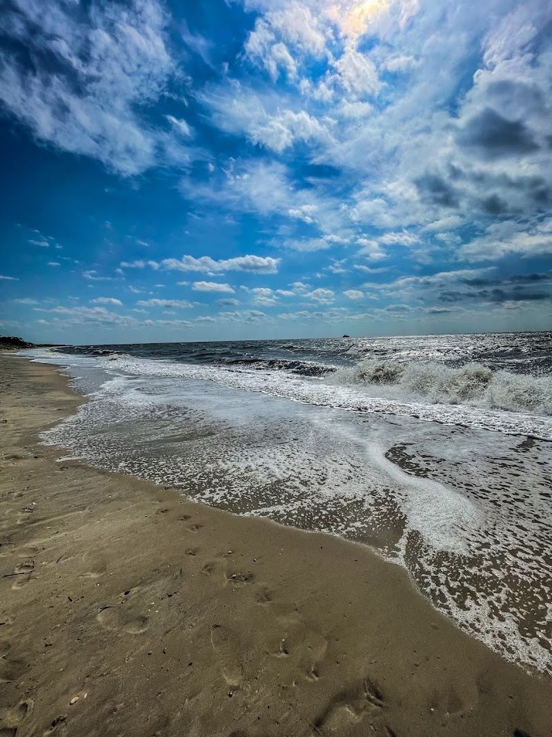 The Wild Side of the Jersey Shore Still Exists at Higbee Beach