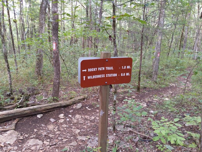 The Wilderness Station Adds Even More to Discover
