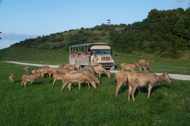 The Wilds, Cumberland