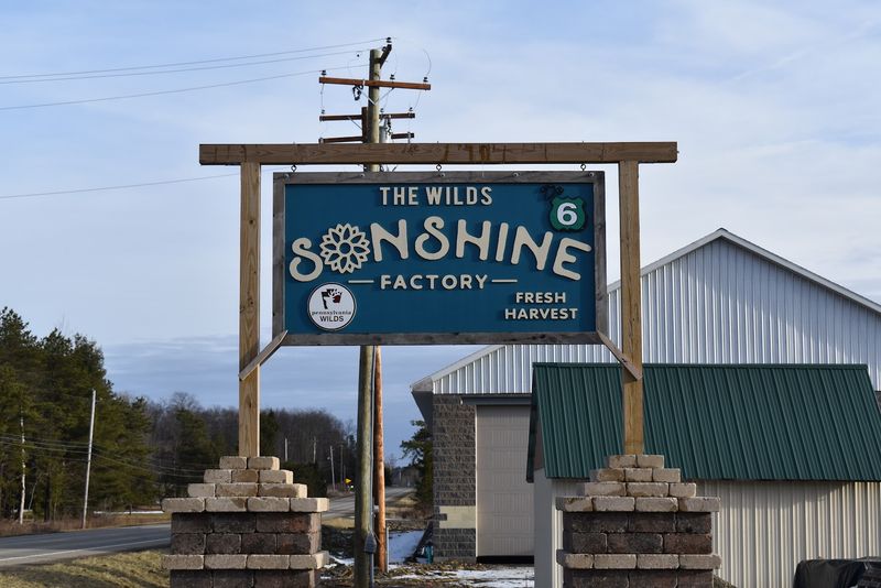 The Wilds Sonshine Factory The Wilds Sonshine Factory