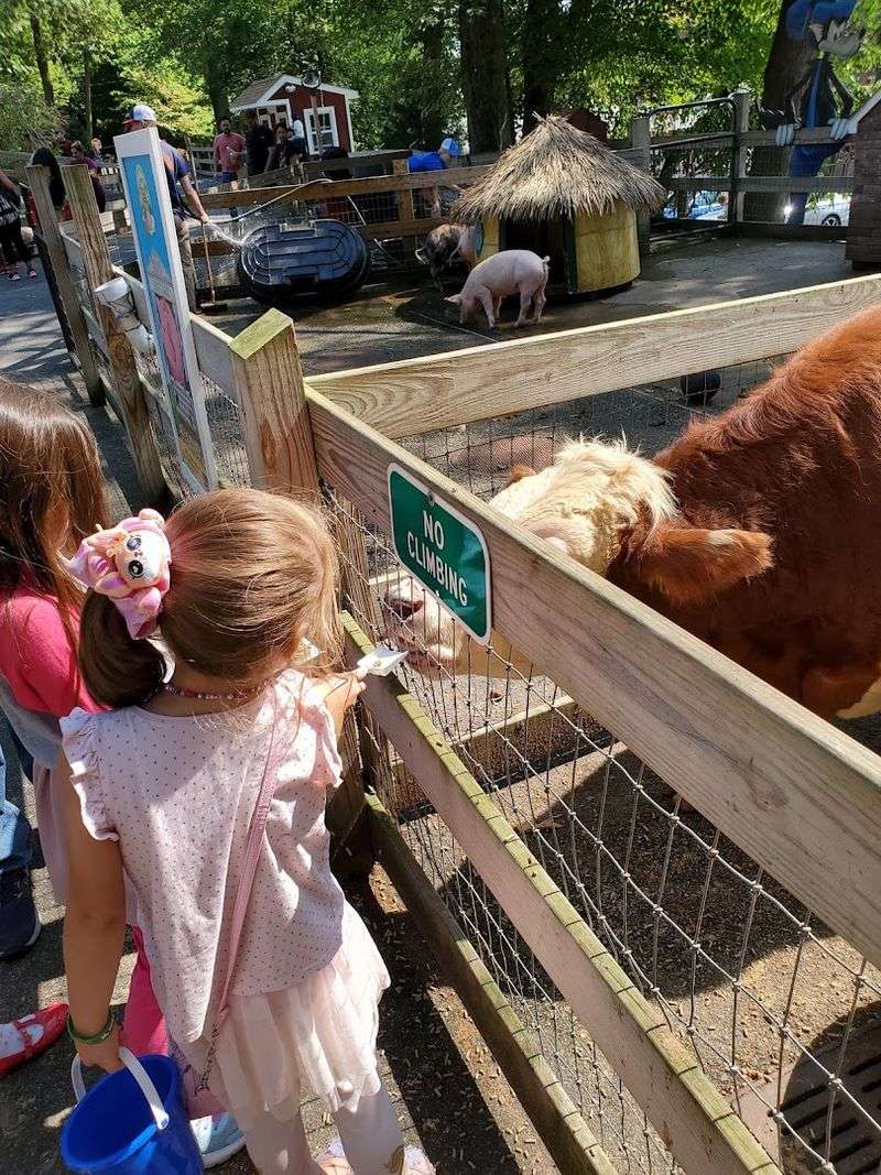 The Year-Round Petting Zoo Is Filled With Friendly Farm Animals The Year-Round Petting Zoo Is Filled With Friendly Farm Animals