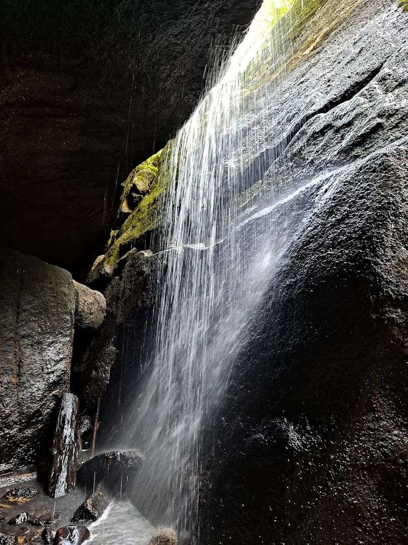 The Yellow Trail Leads To Waterfall Beauty