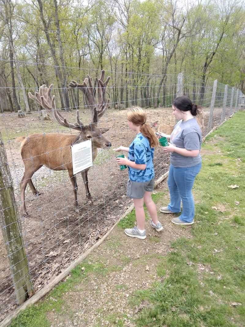 The animal variety keeps every visit exciting The animal variety keeps every visit exciting