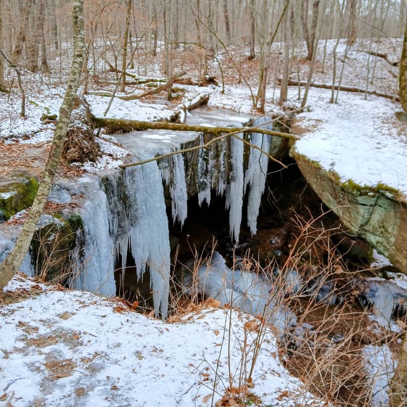 The best seasons and conditions for visiting The best seasons and conditions for visiting