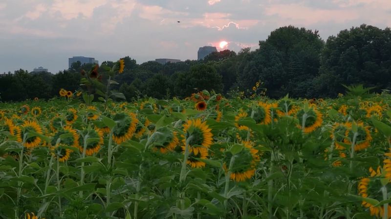 The best times of day to visit The best times of day to visit