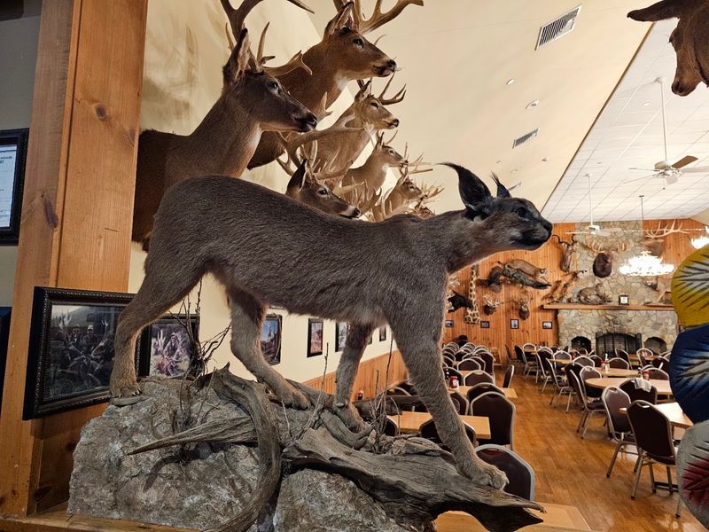 The enormous taxidermy collection turns dinner into a wildlife adventure