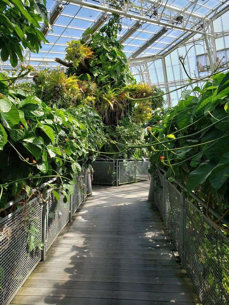 The glasshouses make every season feel alive The glasshouses make every season feel alive