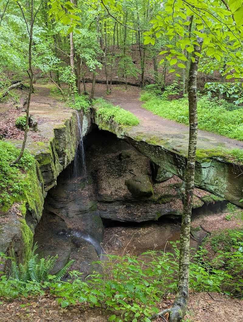 The natural bridge that steals the whole show The natural bridge that steals the whole show