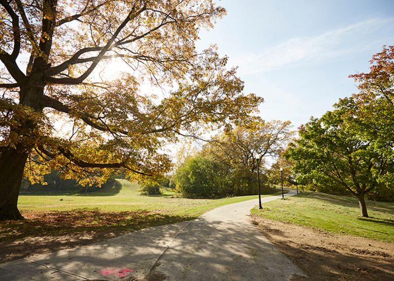 The park has a complicated recent history The park has a complicated recent history