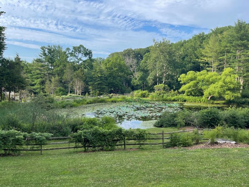 The pond and wildlife add charm The pond and wildlife add charm