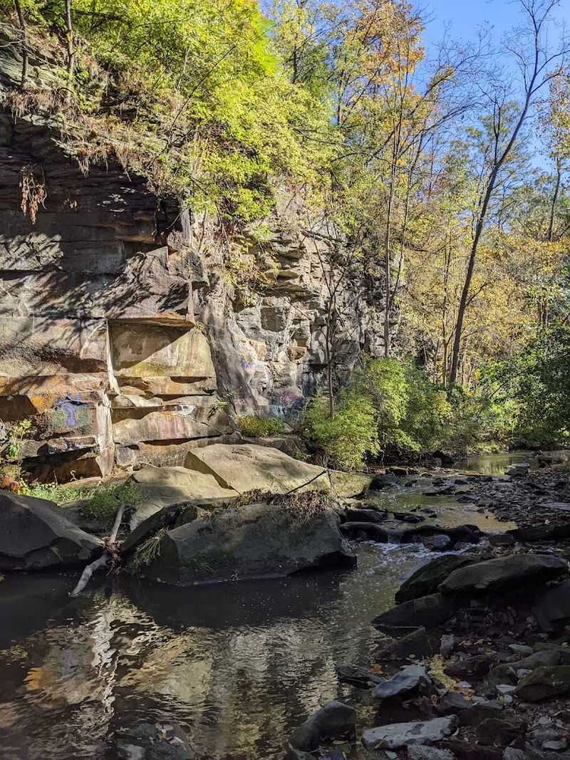 The ravine trail feels wilder than you expect The ravine trail feels wilder than you expect