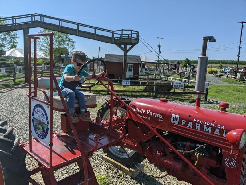The tractor ride makes the trip feel like a full farm adventure