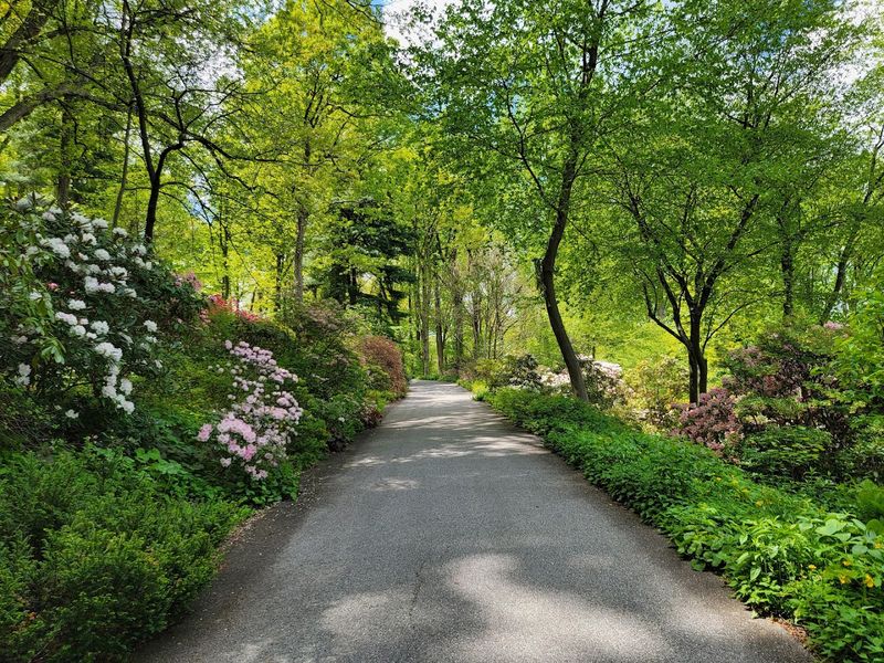 The trails are short, scenic, and satisfying The trails are short, scenic, and satisfying