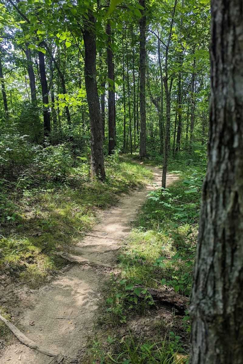 The trails make it more than just a playground stop
