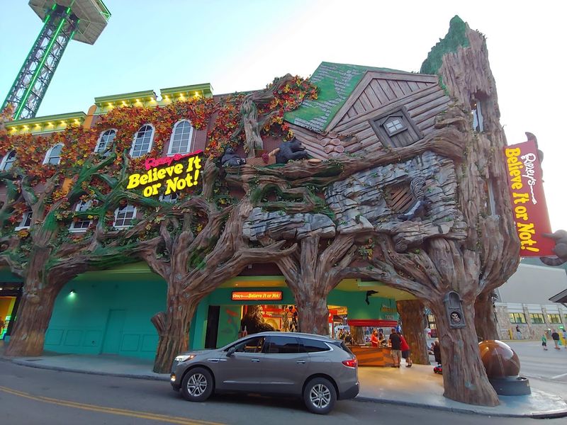 Themed Galleries That Take You On A World Tour Of Oddities