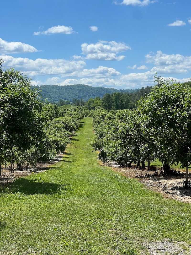 There Is More Than One Way to Experience the Farm There Is More Than One Way to Experience the Farm