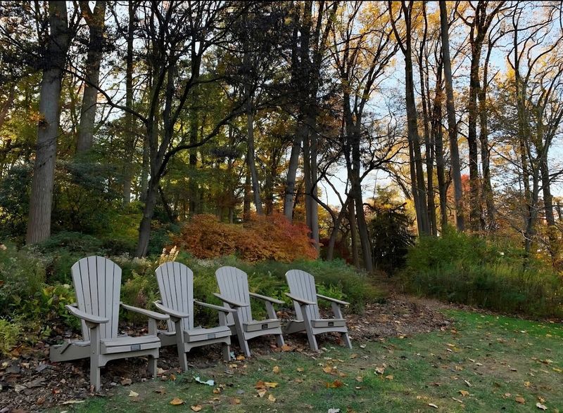 There are comfortable places to sit and stay awhile There are comfortable places to sit and stay awhile