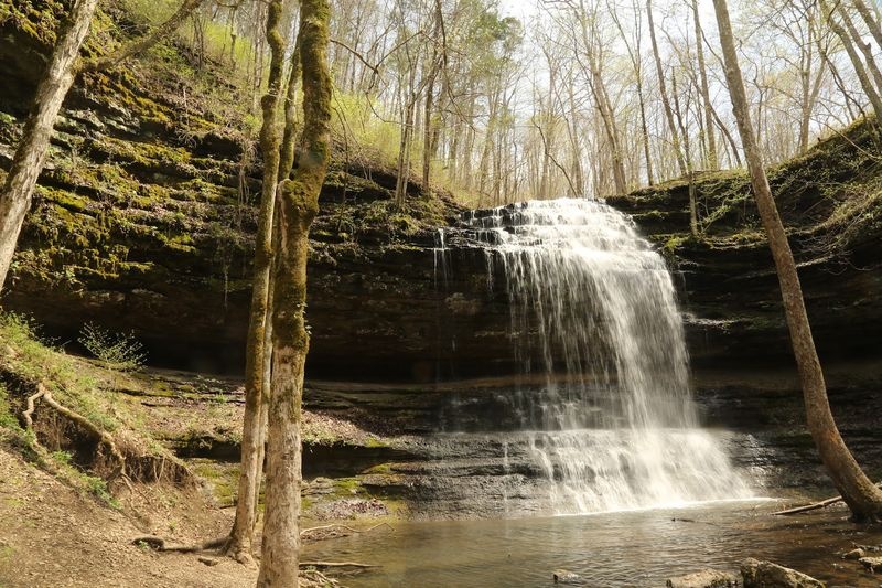 This Quiet Tennessee Trail Feels Like a Hidden Escape This Quiet Tennessee Trail Feels Like a Hidden Escape