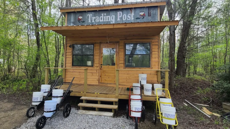 This Tennessee Forest Lets You Hunt For Gold In Designated Creeks