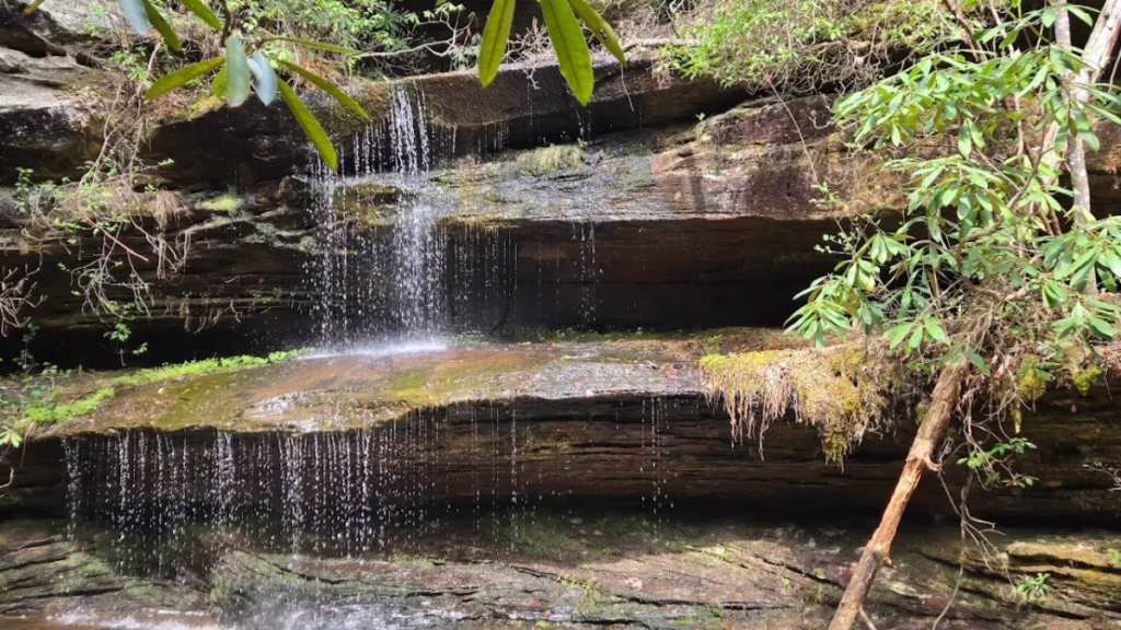 This Tennessee Trail Leads to Wild Rock Formations and Waterfalls Hidden in the Woods