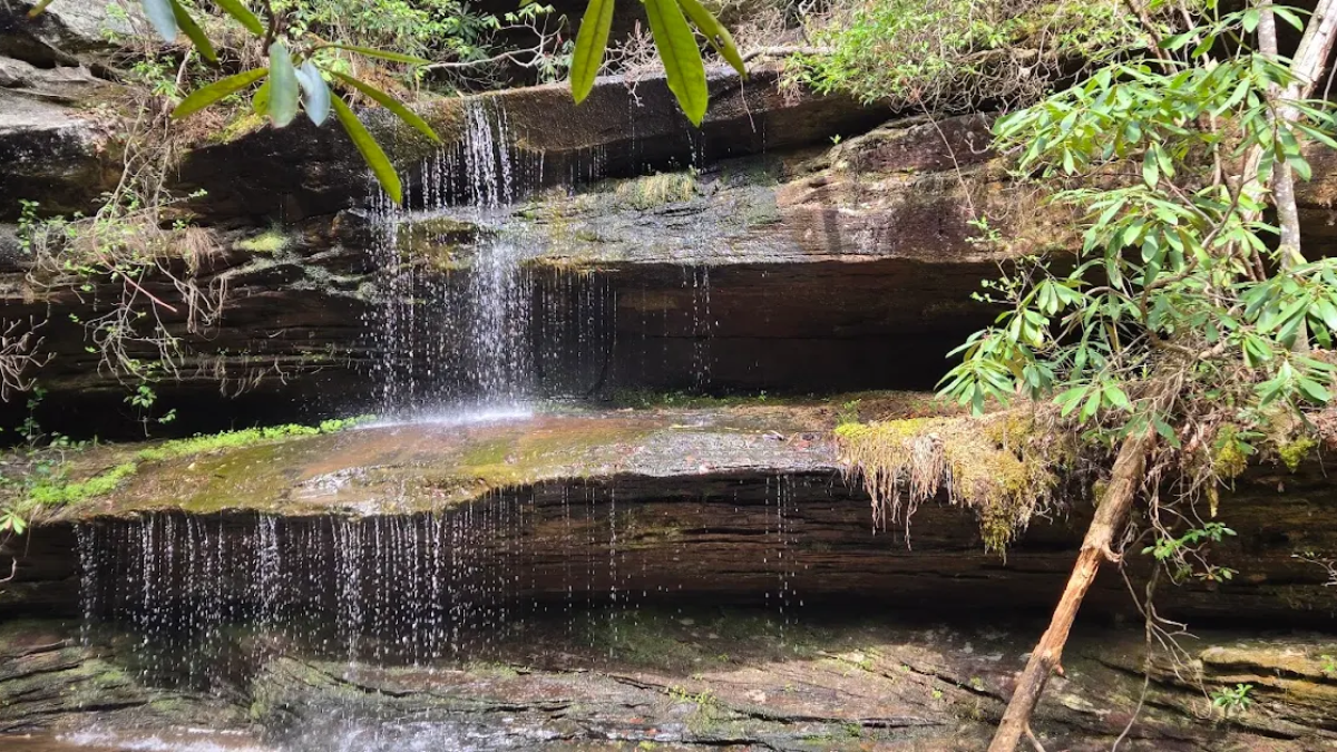 This Tennessee Trail Leads to Wild Rock Formations and Waterfalls Hidden in the Woods